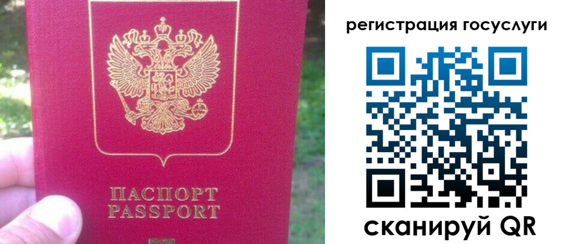 временная прописка в Сольцах